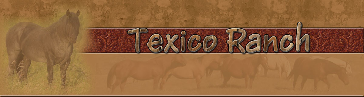 Texico Ranch